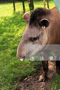 违法要求乙方施工
