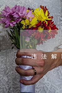违法解聘仲裁期间工资