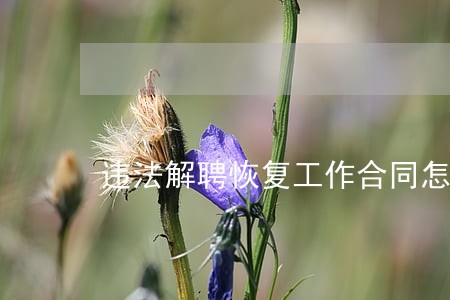违法解聘恢复工作合同怎么签 违法解聘恢复工作合同怎么签