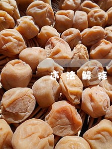 违法解除劳动关系后要求社会保险金 违法解除劳动关系后要求社会保险金