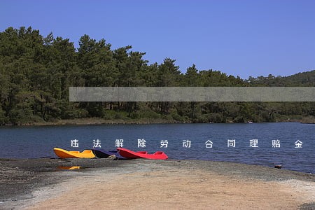 违法解除劳动合同理赔金 违法解除劳动合同理赔金