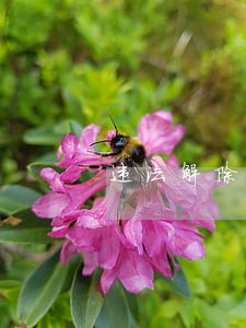 违法解除劳动合同的经济的赔偿金 违法解除劳动合同的经济的赔偿金