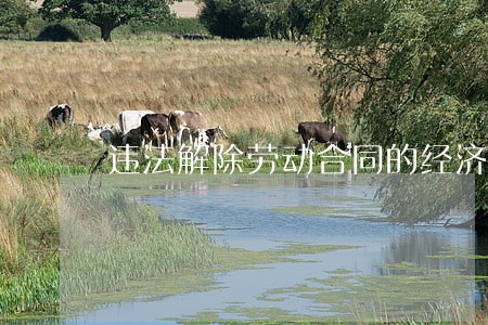 违法解除劳动合同的经济补偿 违法解除劳动合同的经济补偿