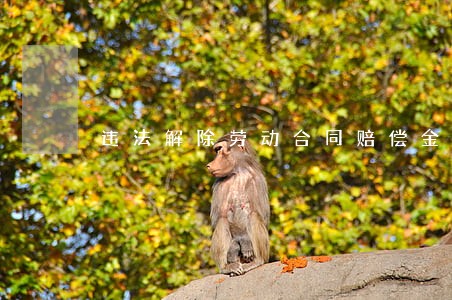 违法解除劳动合同赔偿金多少 违法解除劳动合同赔偿金多少