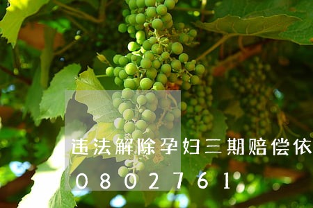 违法解除孕妇三期赔偿依据/2023020802761 违法解除孕妇三期赔偿依据/2023020802761