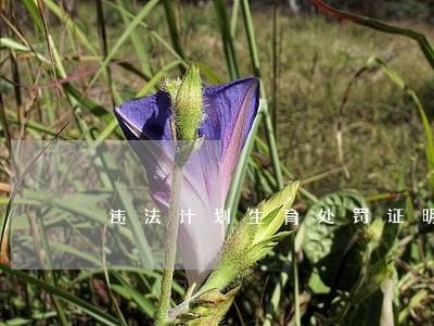 违法计划生育处罚证明 违法计划生育处罚证明