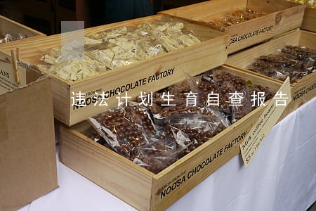 违法计划生育自查报告 违法计划生育自查报告