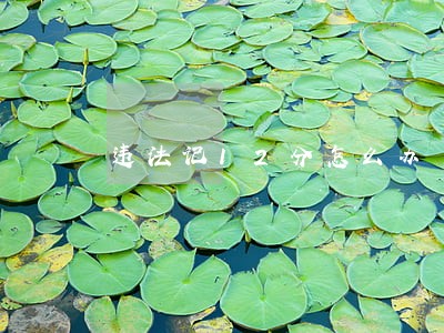 违法记12分怎么办 违法记12分怎么办