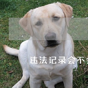 违法记录会不会出现在个人档案 违法记录会不会出现在个人档案