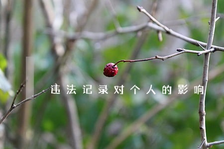 违法记录对个人的影响