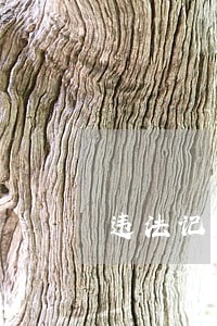 违法记录影响申请韩国签证吗