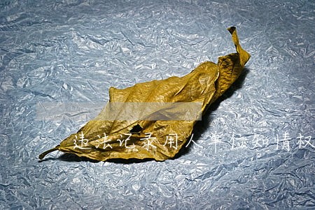 违法记录用人单位知情权 违法记录用人单位知情权