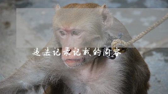 违法记录记载的内容
