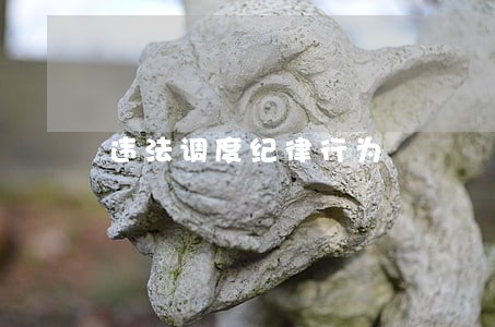 违法调度纪律行为 违法调度纪律行为
