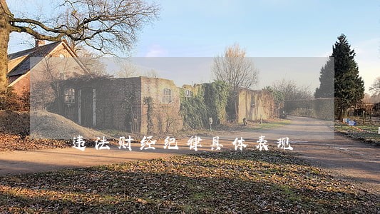 违法财经纪律具体表现 违法财经纪律具体表现