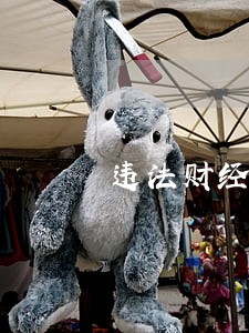 违法财经纪律的责任认定 违法财经纪律的责任认定