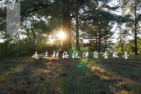 违法财经纪律自查报告 违法财经纪律自查报告