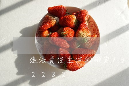 违法责任主体的确定/2023020102282 违法责任主体的确定/2023020102282
