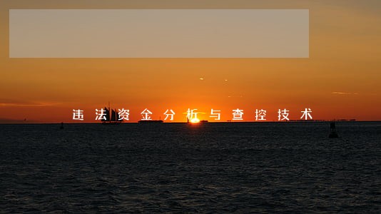 违法资金分析与查控技术 违法资金分析与查控技术