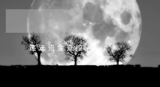 违法资金查控 违法资金查控