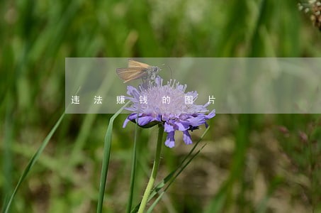 违法赚钱的图片 违法赚钱的图片