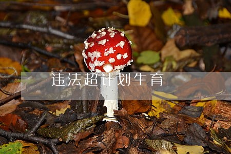 违法超计划生育 违法超计划生育