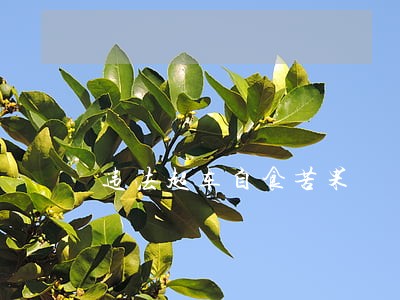 违法超车自食苦果 违法超车自食苦果