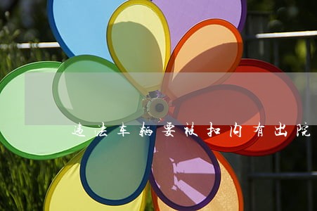 违法车辆要被扣内有出院病人 违法车辆要被扣内有出院病人
