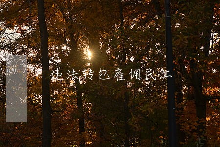 违法转包雇佣民工 违法转包雇佣民工