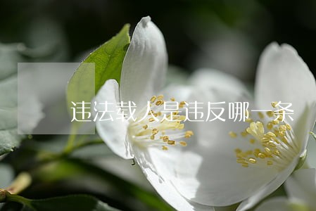 违法载人是违反哪一条 违法载人是违反哪一条