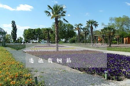 违法载钢筋 违法载钢筋