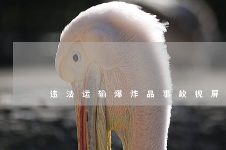 违法运输爆炸品事故视屏 违法运输爆炸品事故视屏