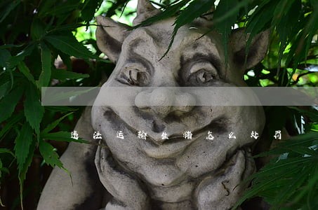 违法运输生猪怎么处罚 违法运输生猪怎么处罚