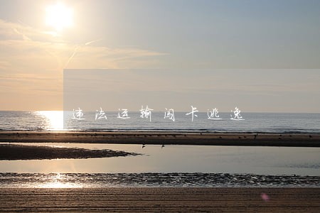 违法运输闯卡逃逸 违法运输闯卡逃逸