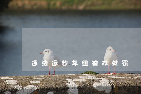 违法运钞车组被双处罚 违法运钞车组被双处罚