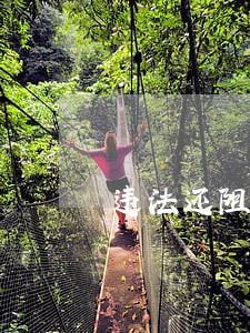 违法还阻碍交警执法 违法还阻碍交警执法