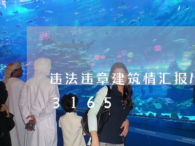 违法违章建筑情汇报/2023020163165