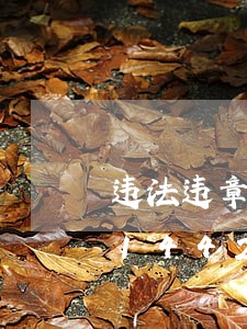 违法违章建筑有什么损失/2023013144253 违法违章建筑有什么损失/2023013144253