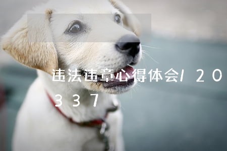 违法违章心得体会/2023012970337 违法违章心得体会/2023012970337