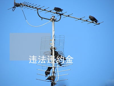 违法违约金 违法违约金