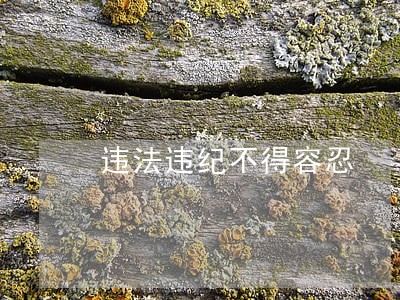 违法违纪不得容忍 违法违纪不得容忍