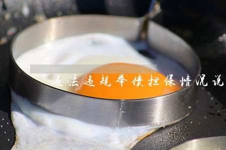 违法违规举债担保情况说明 违法违规举债担保情况说明