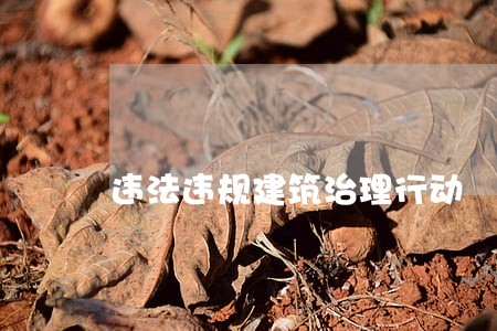 违法违规建筑治理行动 违法违规建筑治理行动