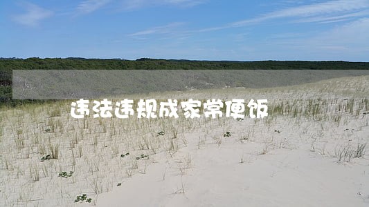 违法违规成家常便饭 违法违规成家常便饭