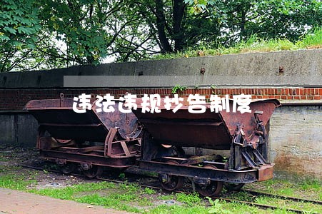 违法违规抄告制度