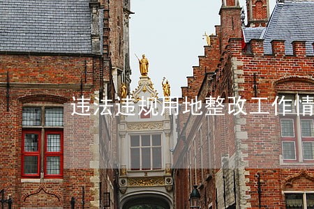 违法违规用地整改工作情况汇报 违法违规用地整改工作情况汇报