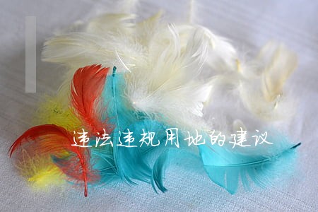 违法违规用地的建议 违法违规用地的建议