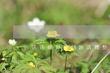 违法违规用地问题清理整治讲话 违法违规用地问题清理整治讲话