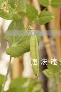 违法违规的械字头产品 违法违规的械字头产品