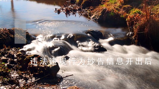 违法违规行为抄告信息开出后 违法违规行为抄告信息开出后